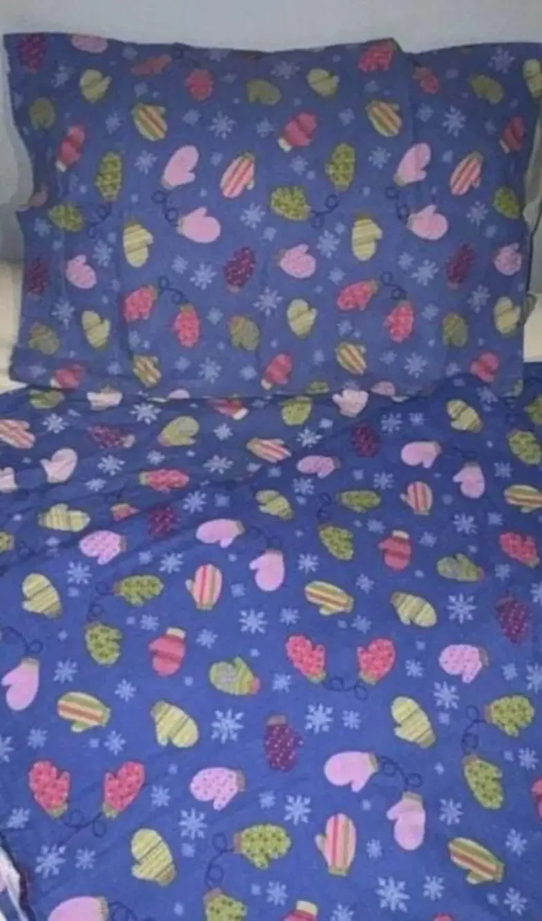 Sierra Home Collections Y2K Twin Flannel Sheet Set Blue Winter Mittens